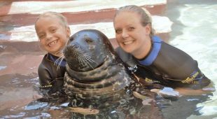 What to Know Before Going Swimming with Seals