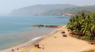 5 Things to Do in and Around North Goa’s Candolim Beach        