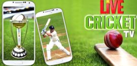 5 Free Ways To Check Cricket Live Status On Your Phones