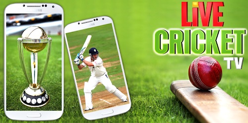 5 Free Ways To Check Cricket Live Status On Your Phones